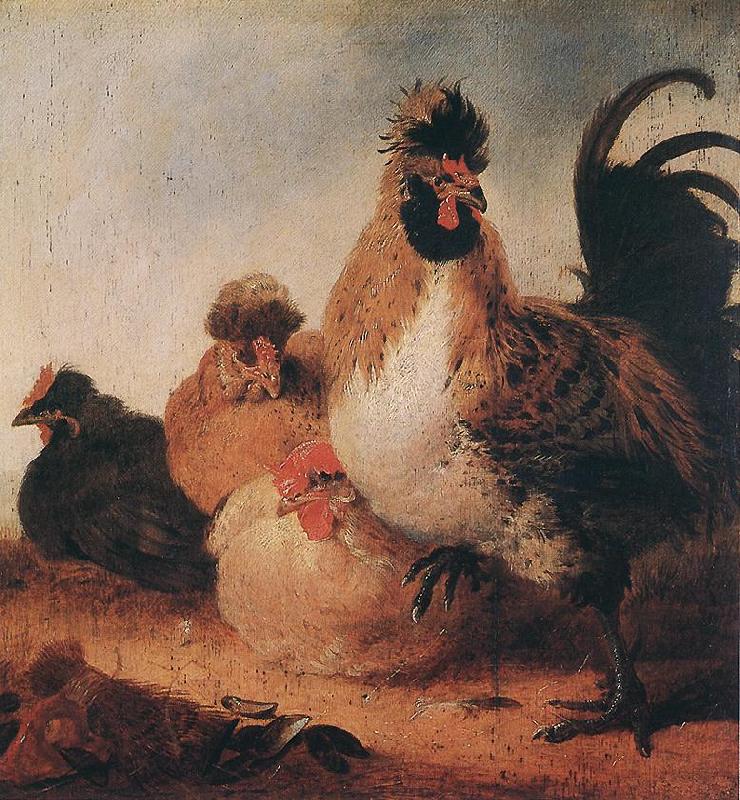 CUYP, Aelbert Rooster and Hens dfg oil painting image